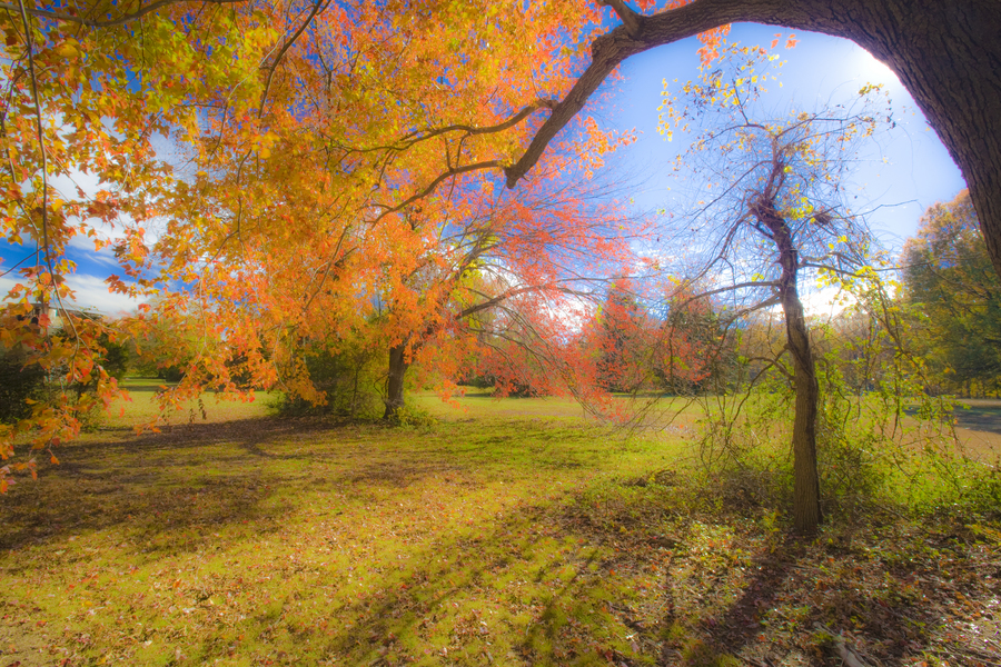  : Fall Images : Bruno Mahlmann Photography - Washington, DC Photographer