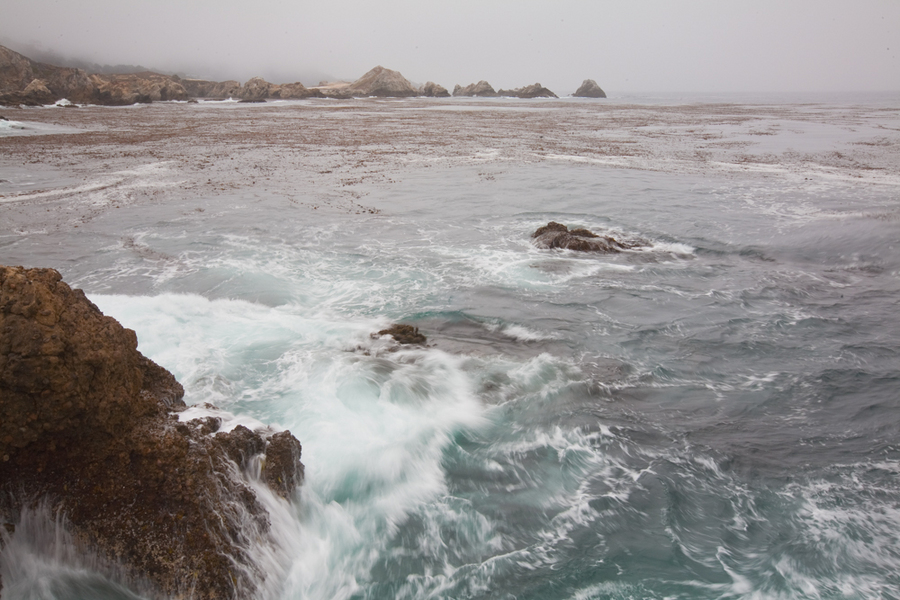  : Point Lobos : Bruno Mahlmann Photography - Washington, DC Photographer