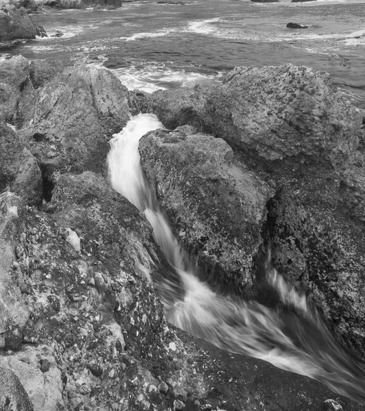  : Point Lobos : Bruno Mahlmann Photography - Washington, DC Photographer