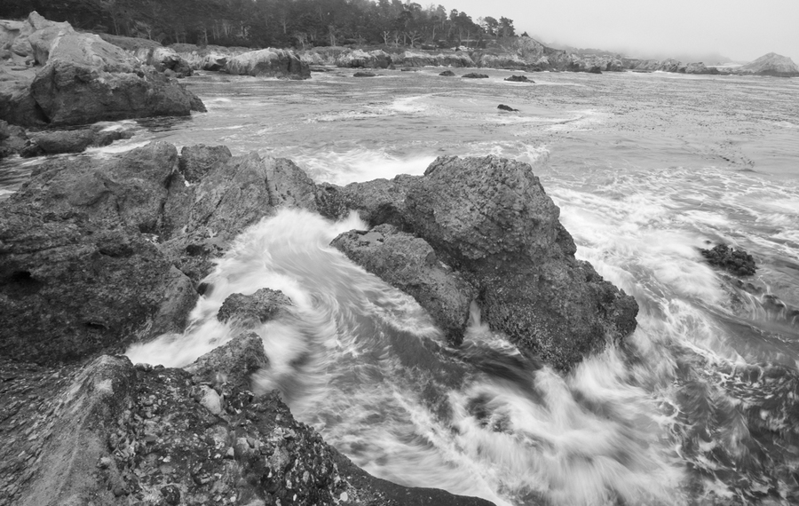  : Point Lobos : Bruno Mahlmann Photography - Washington, DC Photographer