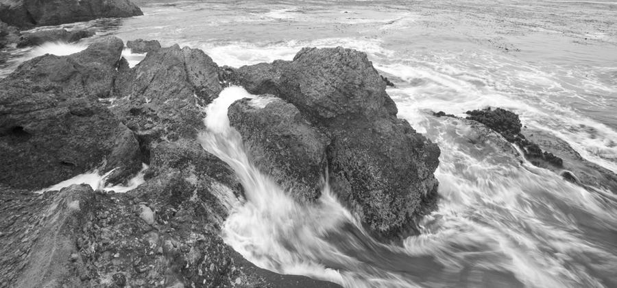  : Point Lobos : Bruno Mahlmann Photography - Washington, DC Photographer