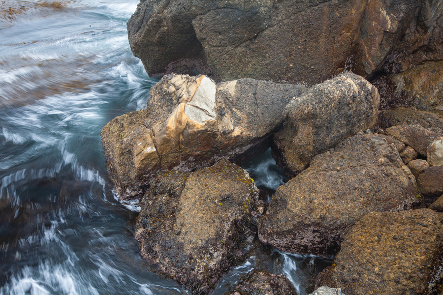  : Point Lobos : Bruno Mahlmann Photography - Washington, DC Photographer