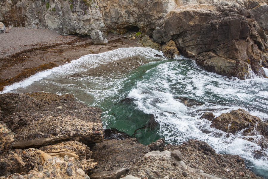  : Point Lobos : Bruno Mahlmann Photography - Washington, DC Photographer