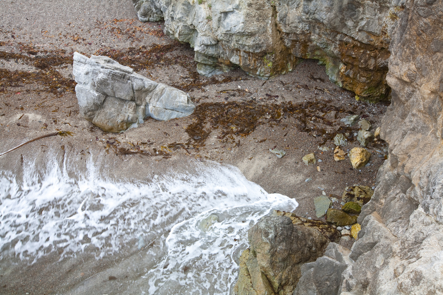  : Point Lobos : Bruno Mahlmann Photography - Washington, DC Photographer