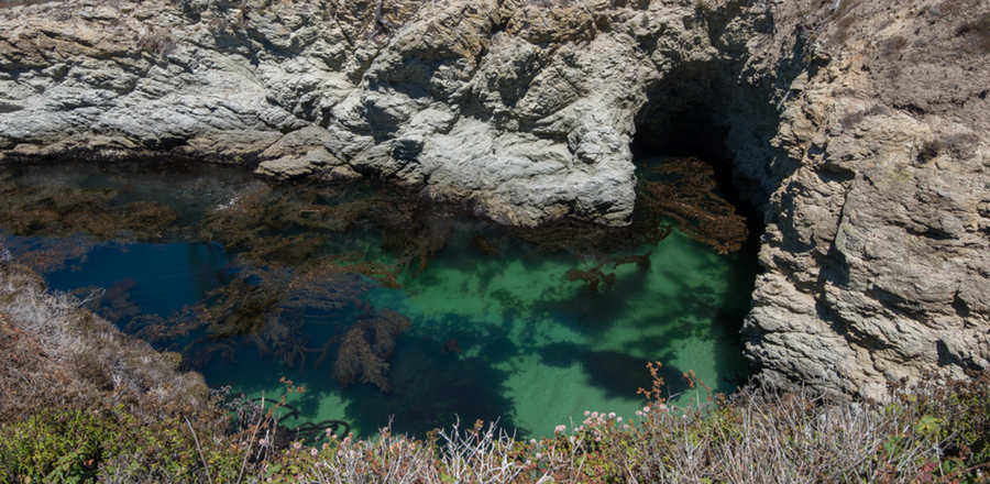  : Point Lobos : Bruno Mahlmann Photography - Washington, DC Photographer