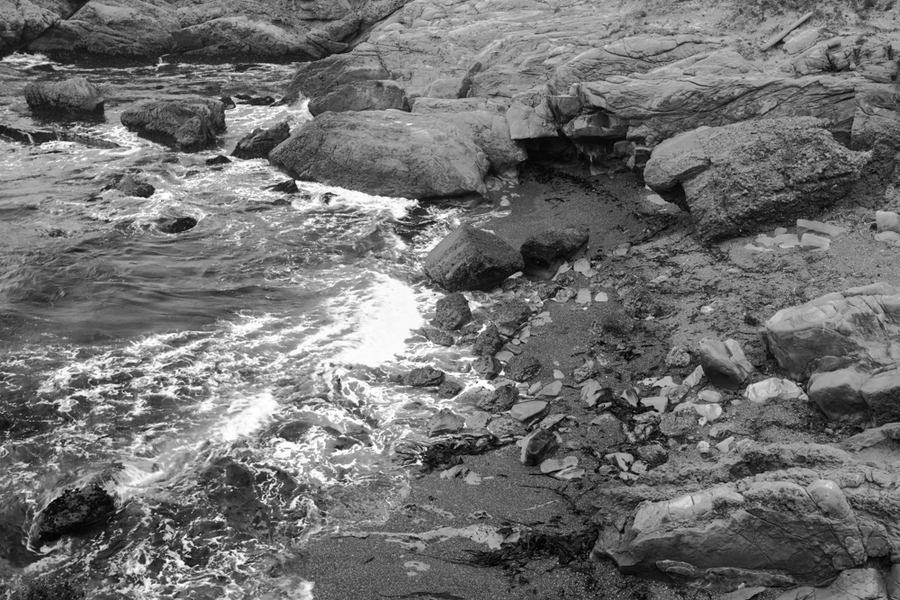  : Point Lobos : Bruno Mahlmann Photography - Washington, DC Photographer