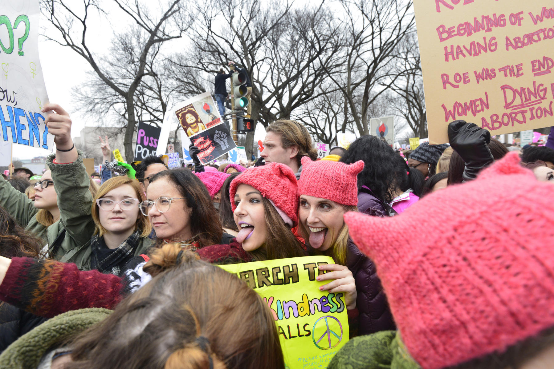 Pussy Hats - From the  Woman's March collection : Sample Series Images : Bruno Mahlmann Photography - Washington, DC Photographer